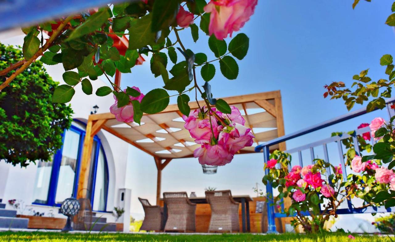 Villa Rose On The Beach Afandou Exterior foto